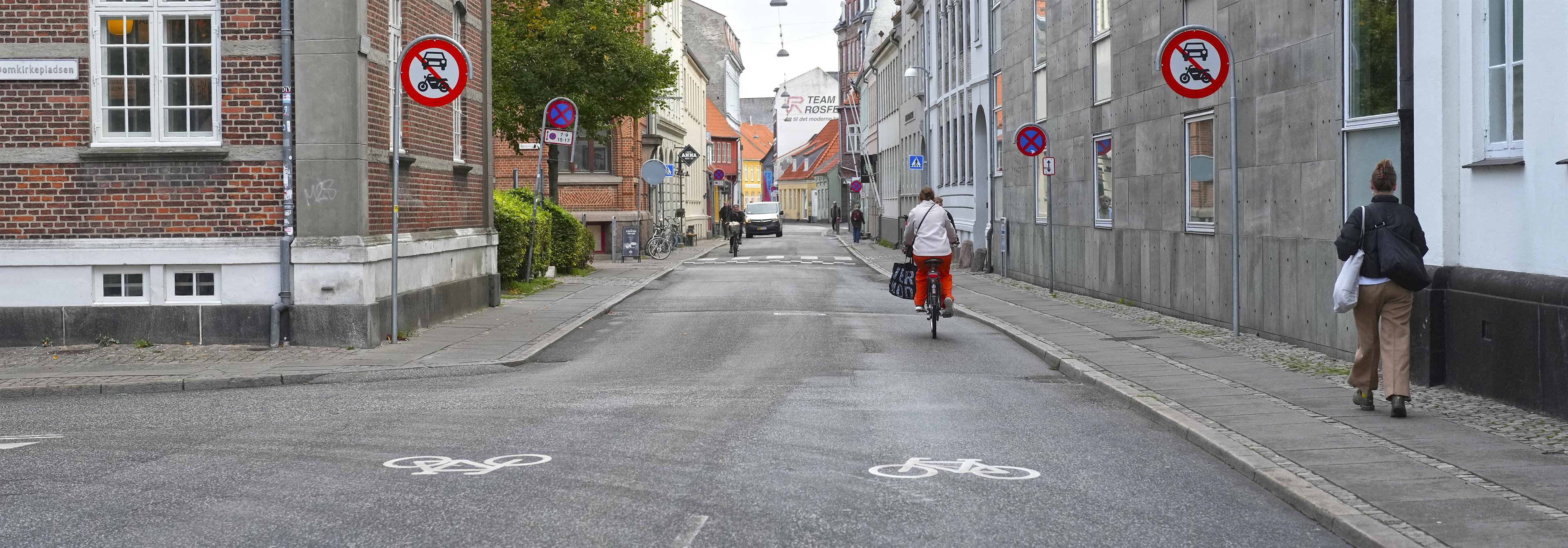 Online teoriprøve spørgsmål – 113