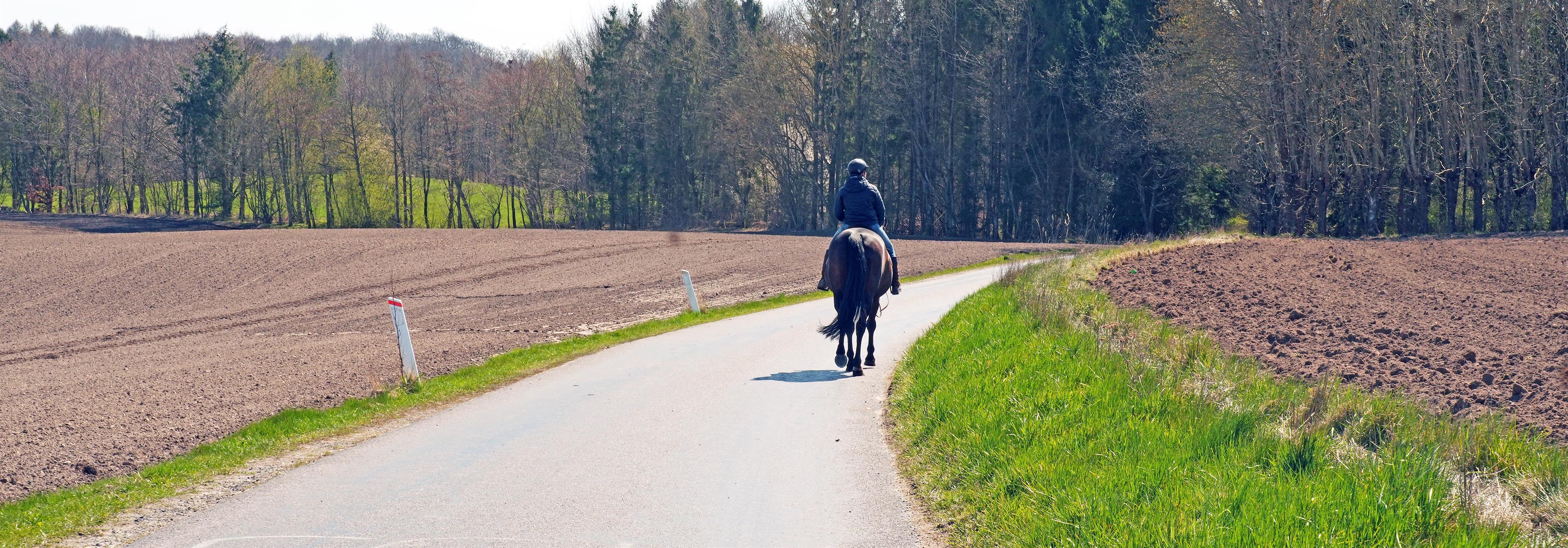 Online teoriprøve spørgsmål – 302